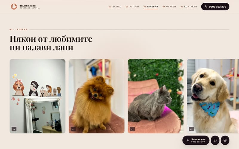 Галерията: мозайка от снимки на кучета след груминг.